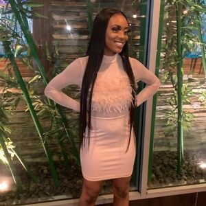 Sheer Pink Fashion Nova Feathered Dress. Worn once!